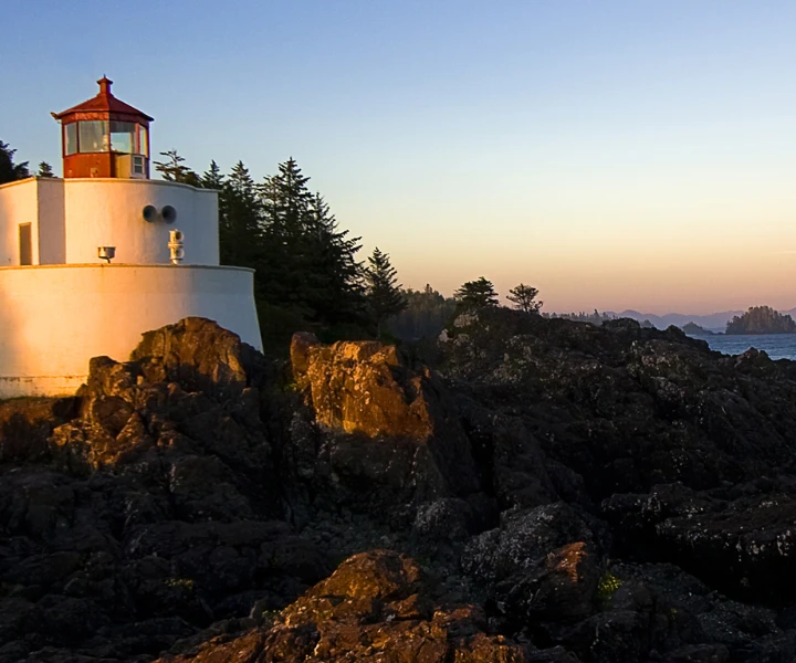 artikal facebook stock soars after strong earnings report kolektiv gerusija